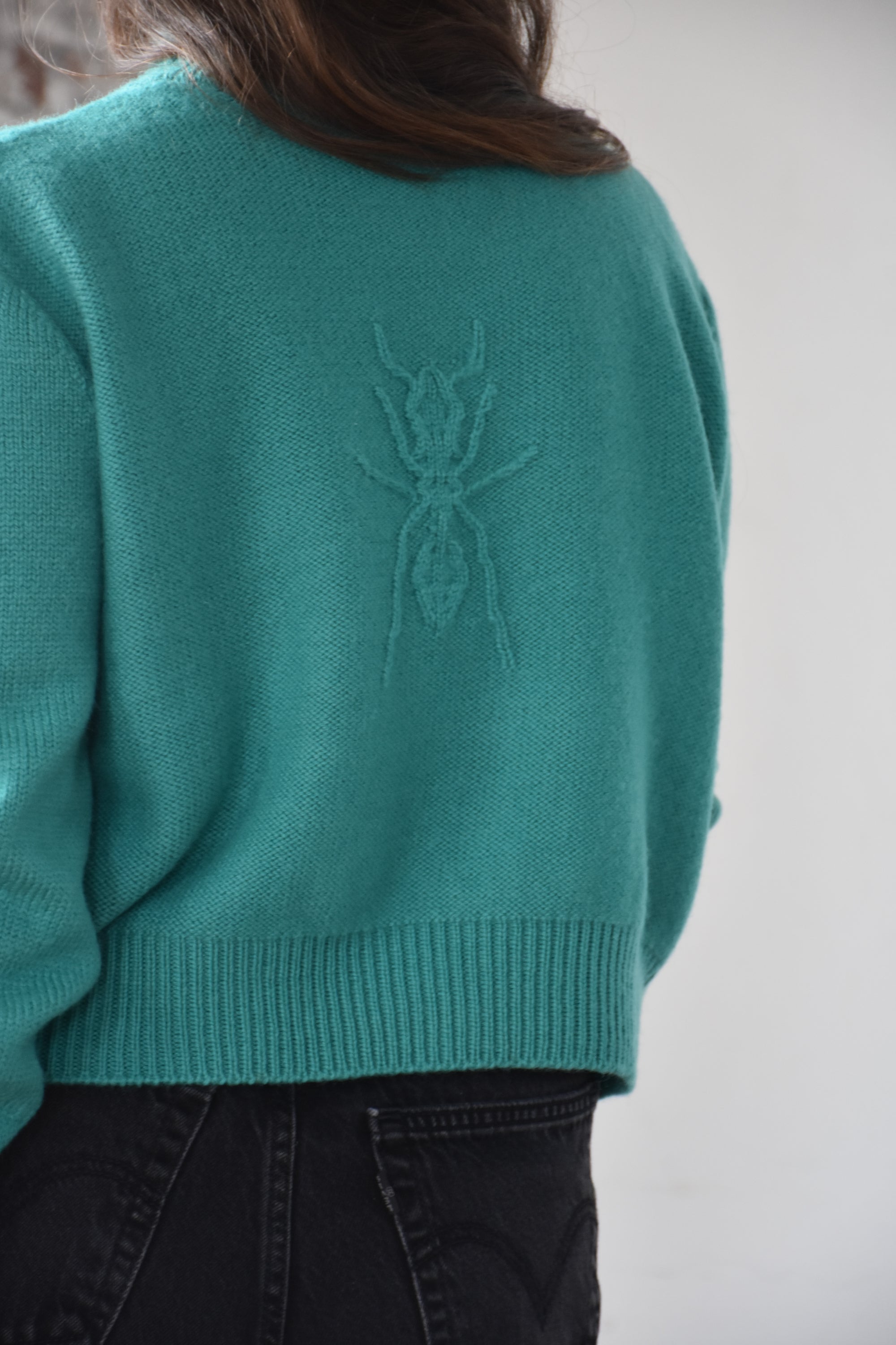 ANT emblem sweater